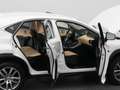 Lexus Sonstige NX 300h AWD Business Line | CAMERA | TREKHAAK Weiß - thumbnail 34