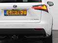 Lexus Sonstige NX 300h AWD Business Line | CAMERA | TREKHAAK Weiß - thumbnail 20