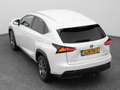 Lexus Sonstige NX 300h AWD Business Line | CAMERA | TREKHAAK Weiß - thumbnail 25