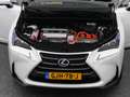 Lexus Sonstige NX 300h AWD Business Line | CAMERA | TREKHAAK Weiß - thumbnail 31