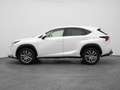 Lexus Sonstige NX 300h AWD Business Line | CAMERA | TREKHAAK Weiß - thumbnail 13