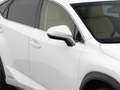 Lexus Sonstige NX 300h AWD Business Line | CAMERA | TREKHAAK Weiß - thumbnail 23