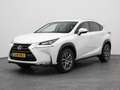 Lexus Sonstige NX 300h AWD Business Line | CAMERA | TREKHAAK Weiß - thumbnail 1