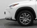 Lexus Sonstige NX 300h AWD Business Line | CAMERA | TREKHAAK Weiß - thumbnail 21