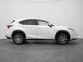 Lexus Sonstige NX 300h AWD Business Line | CAMERA | TREKHAAK Weiß - thumbnail 14