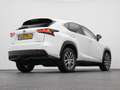 Lexus Sonstige NX 300h AWD Business Line | CAMERA | TREKHAAK Weiß - thumbnail 16