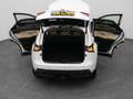 Lexus Sonstige NX 300h AWD Business Line | CAMERA | TREKHAAK Weiß - thumbnail 29