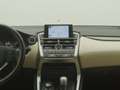 Lexus Sonstige NX 300h AWD Business Line | CAMERA | TREKHAAK Weiß - thumbnail 8