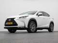 Lexus Sonstige NX 300h AWD Business Line | CAMERA | TREKHAAK Weiß - thumbnail 15
