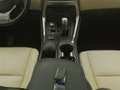 Lexus Sonstige NX 300h AWD Business Line | CAMERA | TREKHAAK Weiß - thumbnail 12