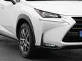 Lexus Sonstige NX 300h AWD Business Line | CAMERA | TREKHAAK Weiß - thumbnail 17