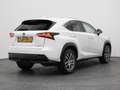 Lexus Sonstige NX 300h AWD Business Line | CAMERA | TREKHAAK Weiß - thumbnail 6