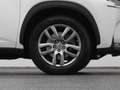 Lexus Sonstige NX 300h AWD Business Line | CAMERA | TREKHAAK Weiß - thumbnail 42