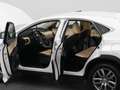 Lexus Sonstige NX 300h AWD Business Line | CAMERA | TREKHAAK Weiß - thumbnail 33