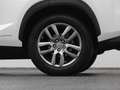 Lexus Sonstige NX 300h AWD Business Line | CAMERA | TREKHAAK Weiß - thumbnail 40