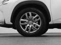 Lexus Sonstige NX 300h AWD Business Line | CAMERA | TREKHAAK Weiß - thumbnail 39