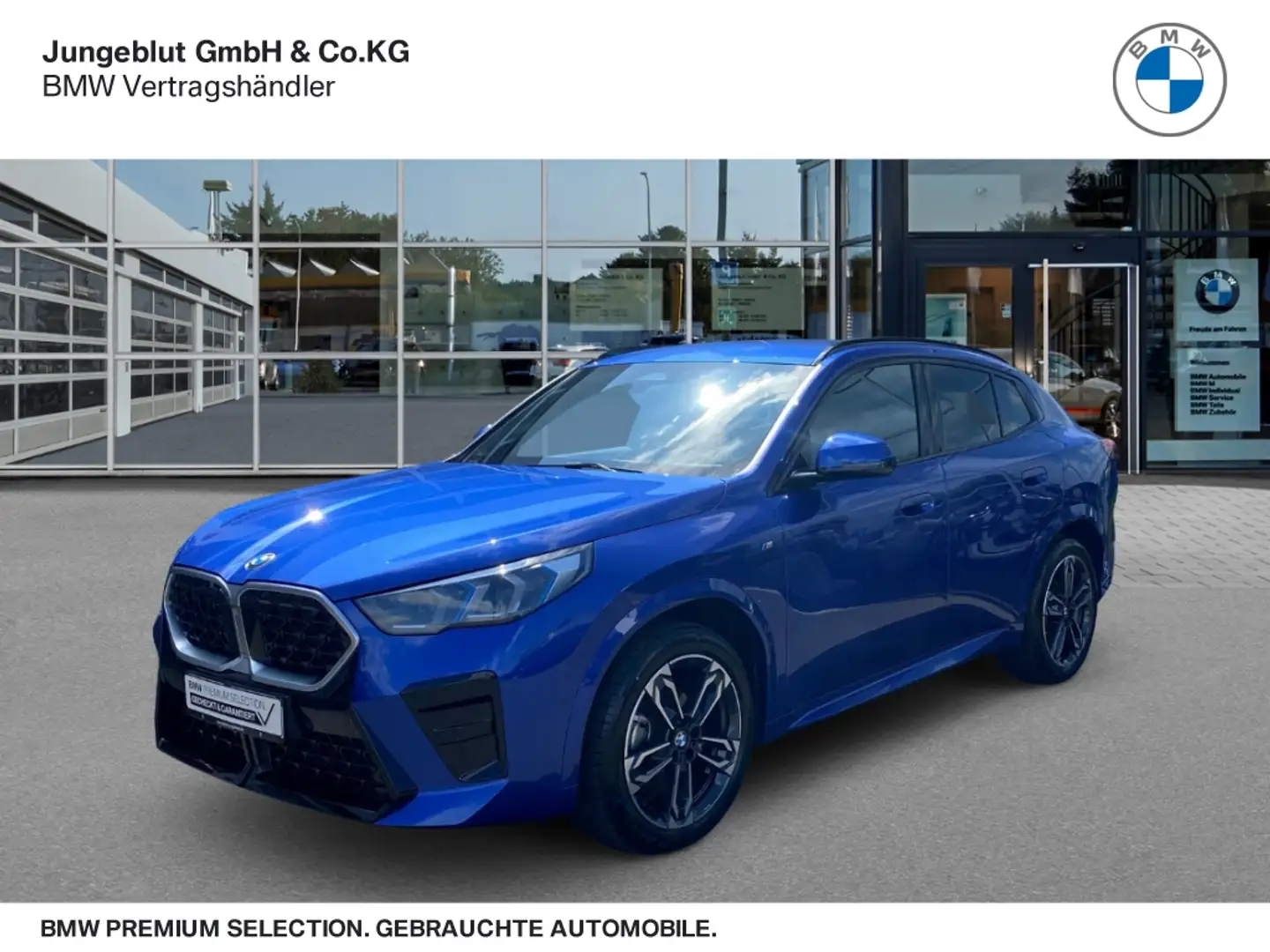 BMW X2 sDrive18d M Sport AHK/Lenkrad&Sitzhg./Adapt.LED-Sc Blau - 1