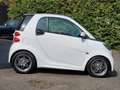 smart forTwo fortwo coupe pulse PANO+SHZ+BRABUS 15" Weiß - thumbnail 3