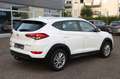 Hyundai TUCSON blue Trend l NAVI l KAMERA l SCHECKHEFT Blanc - thumbnail 7