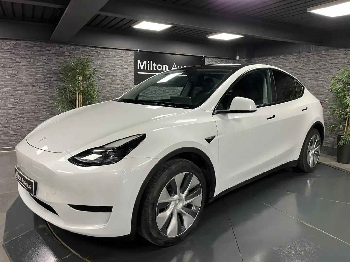Tesla Model Y RWD  autonomie Standard Blanc - 1
