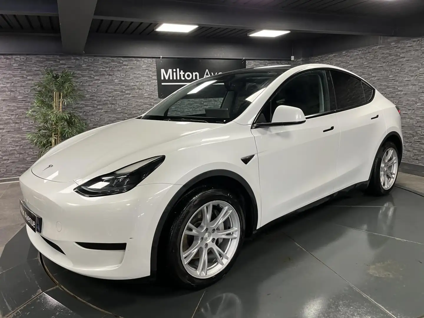 Tesla Model Y RWD  autonomie Standard Blanc - 1