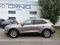 Ford Kuga Titanium 1.5EcoBLue 120PS Automatik Silber - thumbnail 3