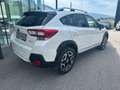 Subaru XV 2.0i-S CVT Style Navi Allrad Aut. Weiß - thumbnail 2