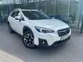 Subaru XV 2.0i-S CVT Style Navi Allrad Aut. Weiß - thumbnail 1
