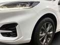 Ford Kuga 2.5 Duratec PHEV ST-LINE Blanc - thumbnail 5