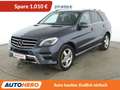 Mercedes-Benz ML 350 ML 350 CDI BlueTEC 4MATIC Gris - thumbnail 1