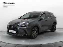 Lexus NX 350h Hybrid 4WD
Luxury
