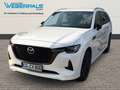 Mazda CX-80 Homura AWD-BOSE-LEDER-NAVI-MATRIXLED-360°KAMERA Weiß - thumbnail 1