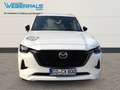 Mazda CX-80 Homura AWD-BOSE-LEDER-NAVI-MATRIXLED-360°KAMERA Weiß - thumbnail 3