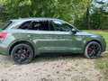 Audi Q5 Q5 Diesel 40 TDI quattro S tronic line business Grün - thumbnail 3