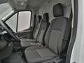 Ford Transit Kasten 290 L2H2 105PS -25%* Bianco - thumbnail 11
