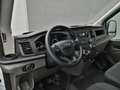 Ford Transit Kasten 290 L2H2 105PS -25%* Bianco - thumbnail 10