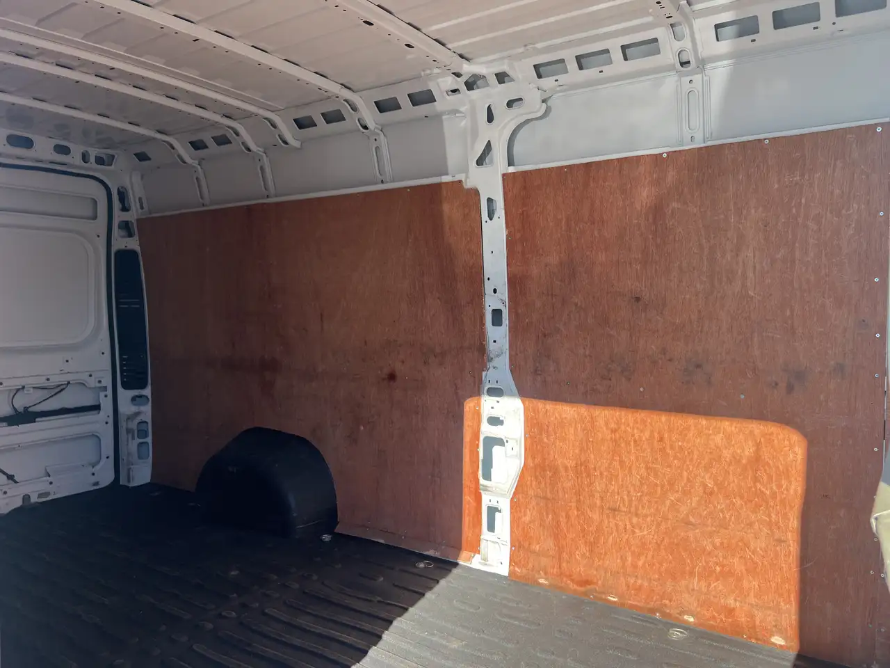 RAM Promaster снимка RAM Promaster