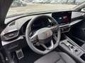 CUPRA Leon 1.5 eTSI DSG 150 PS ACT Grigio - thumbnail 17