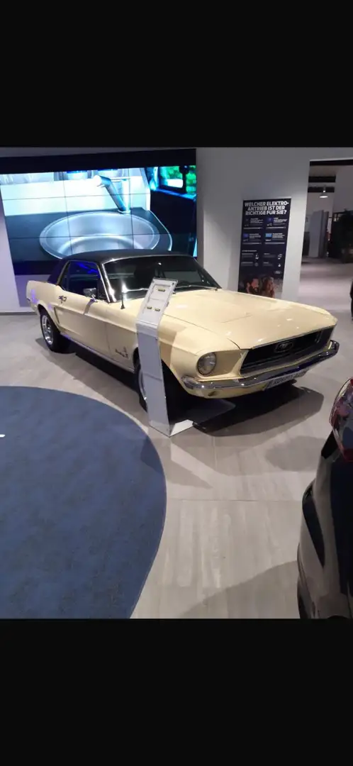 Ford Mustang Yellow - 1