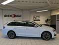 Skoda Octavia 1.5 TSI DSG ACC Style-Paket AHK 5J Garan Weiß - thumbnail 8