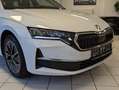 Skoda Octavia 1.5 TSI DSG ACC Style-Paket AHK 5J Garan Weiß - thumbnail 9