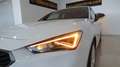 SEAT Leon 1.0 eTSI S&S FR 25º Aniversario DSG-7 110 Blanco - thumbnail 10