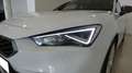 SEAT Leon 1.0 eTSI S&S FR 25º Aniversario DSG-7 110 Blanco - thumbnail 12