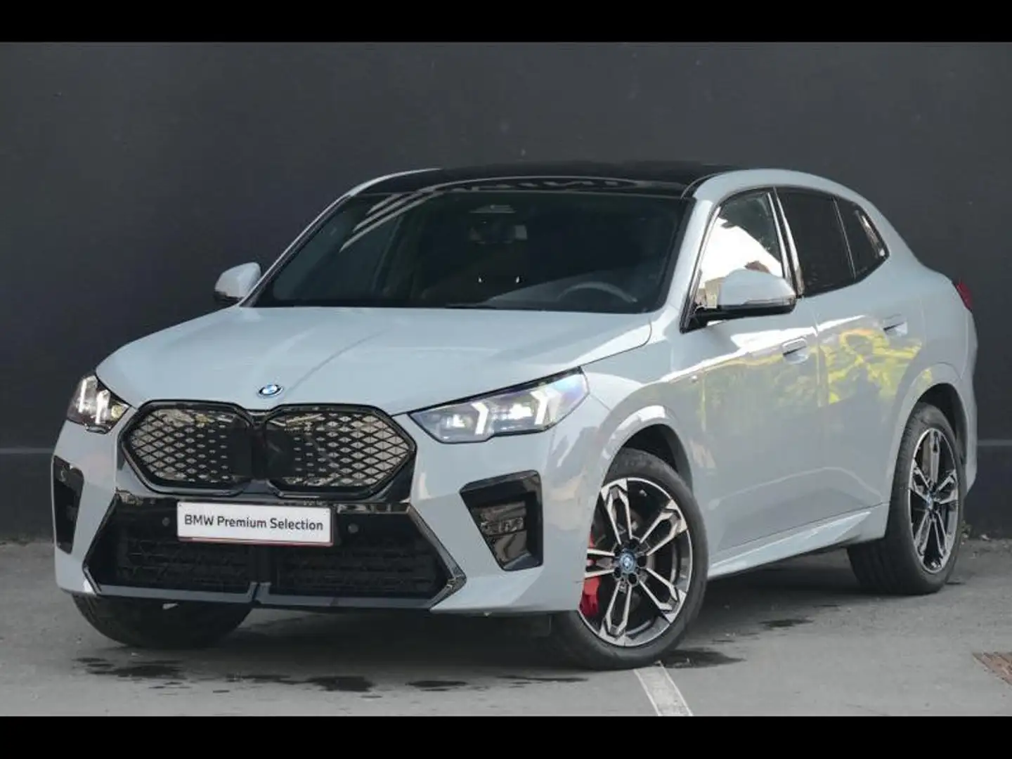 BMW iX2 eDrive 20 Kit M Sport Gris - 1