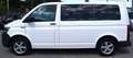 Volkswagen T6 Kombi T6 2.0 TDI Kombi (EURO 6d-TEMP) Weiß - thumbnail 3