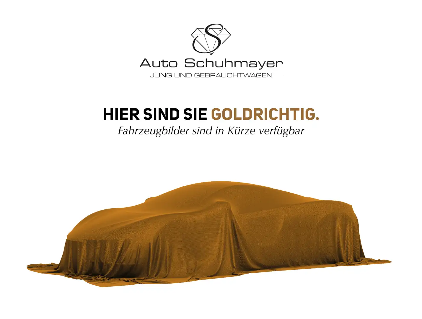 Volkswagen Golf Variant VII 1.0 TSI Rabbit Silber - 1