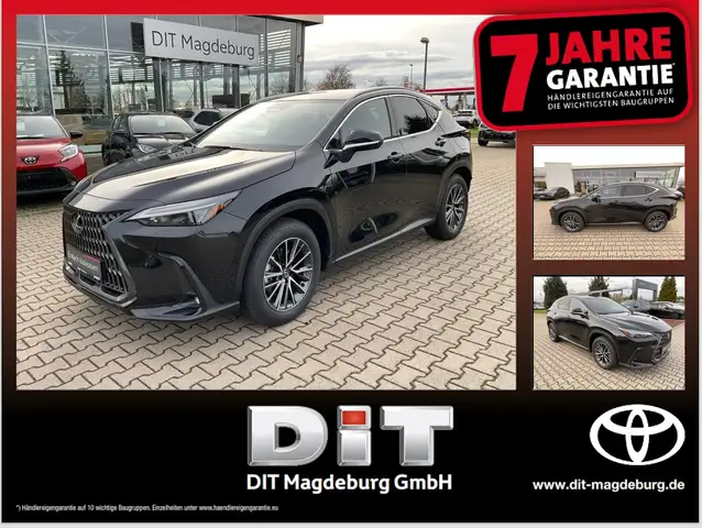 Lexus NX 350h Executive Line Inter.- und Tech.-Paket