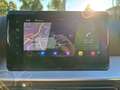 SEAT Ibiza FR Weiß - thumbnail 13