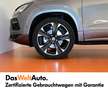 CUPRA Ateca 1.5 TSI DSG 150 Gris - thumbnail 14