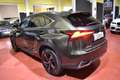 Lexus NX 300 300h Executive Navigation 4WD Grün - thumbnail 16